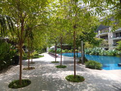 Flamingo Valley (D15), Condominium #140388702